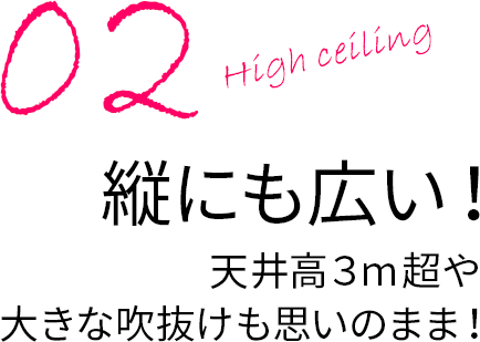 縦にも広い！天井高3m超や大きな吹抜けも思いのまま！