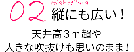 縦にも広い！天井高3m超や大きな吹抜けも思いのまま！