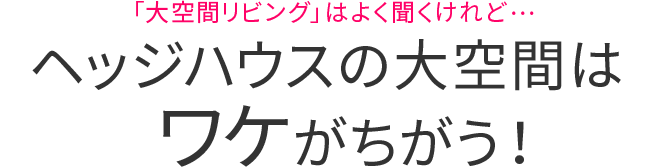 ヘッジハウスの大空間はワケがちがう！